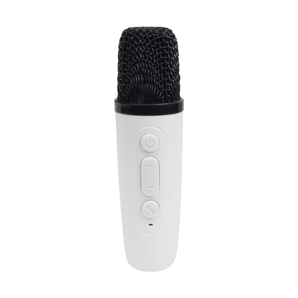 MINI-KARAOKE-RGB-2-MICS_30695_Y1_4